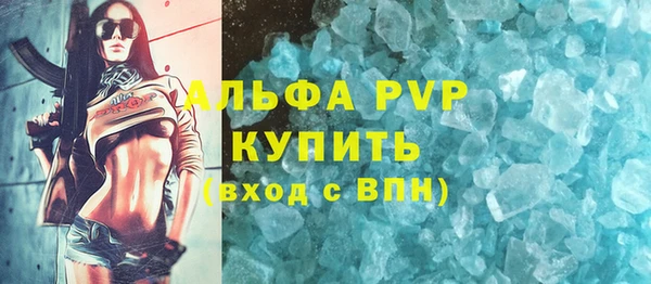 стаф Арсеньев