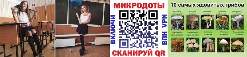 Псилоцибиновые грибы GOLDEN TEACHER  купить закладку  Мончегорск 